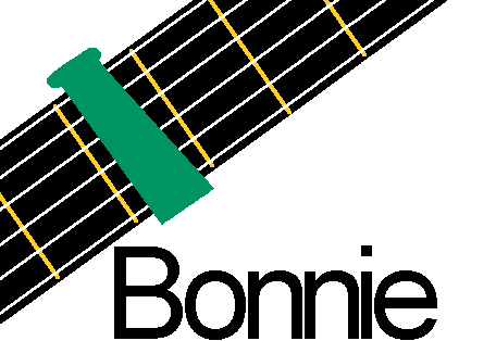 Bottleneck Guitar